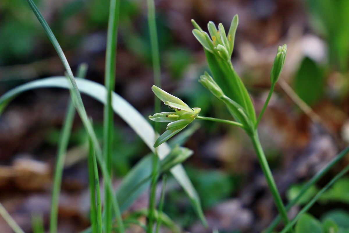 RNA-2017-04-10-00028144p_Bildgr��e �ndern