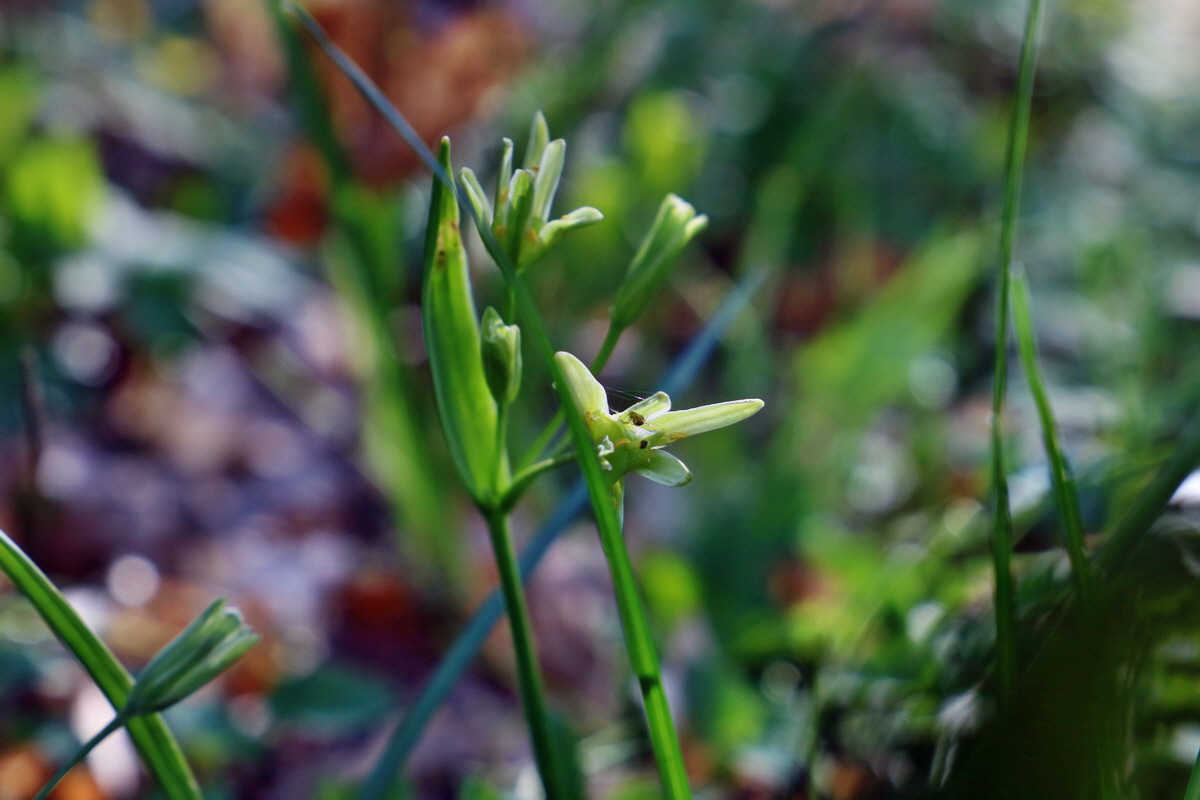 RNA-2017-04-10-00028145p_Bildgr��e �ndern