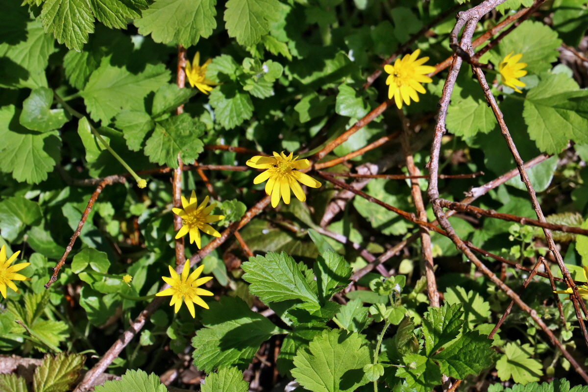 RNA-2017-04-10-00028156p_Bildgr��e �ndern