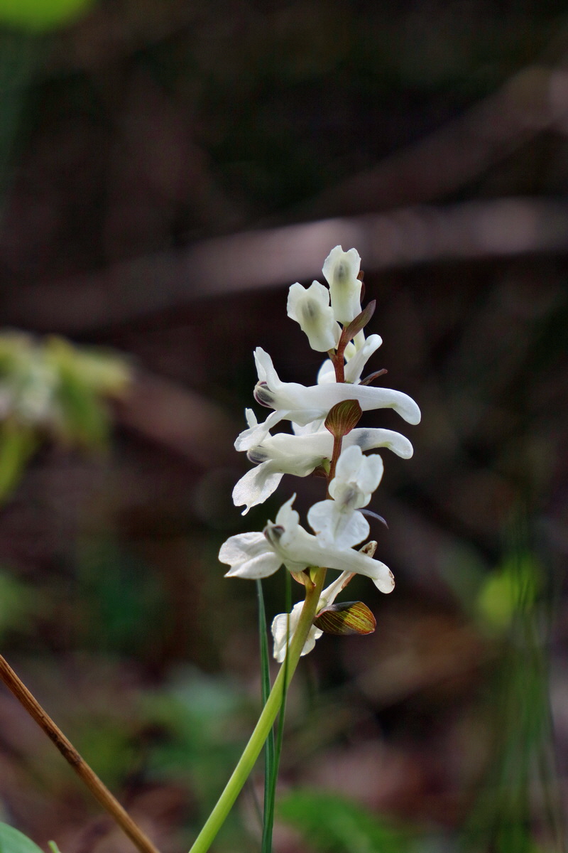 RNA-2017-04-10-00028249p_Bildgr��e �ndern