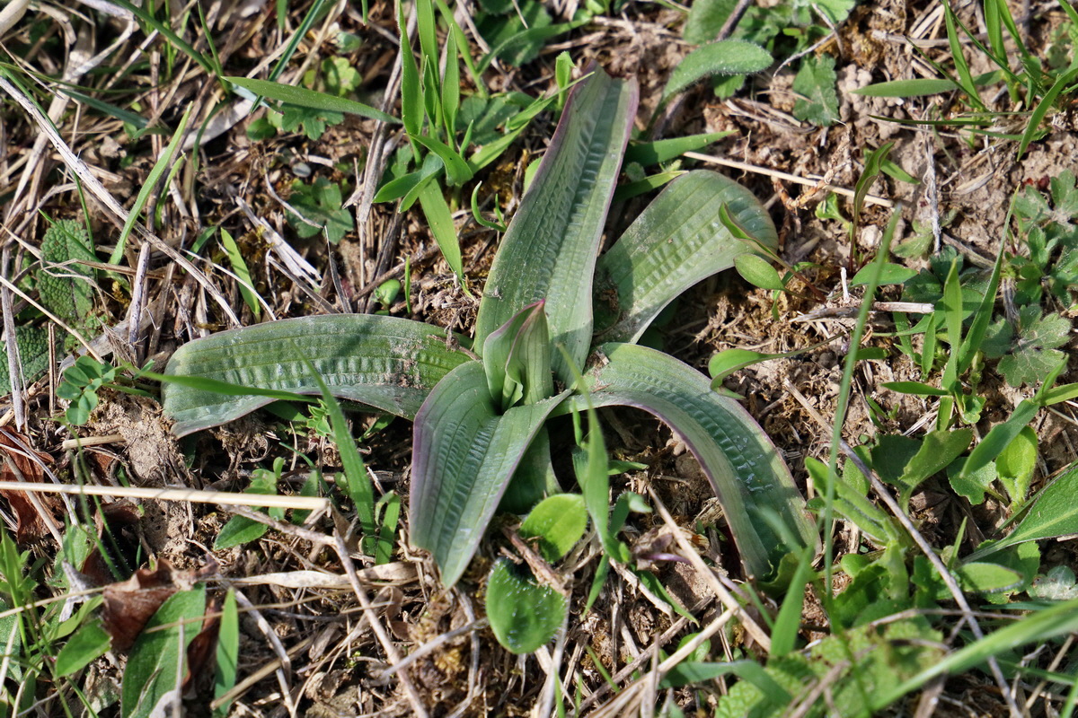 RNA-2017-04-10-00028269p_Bildgr��e �ndern