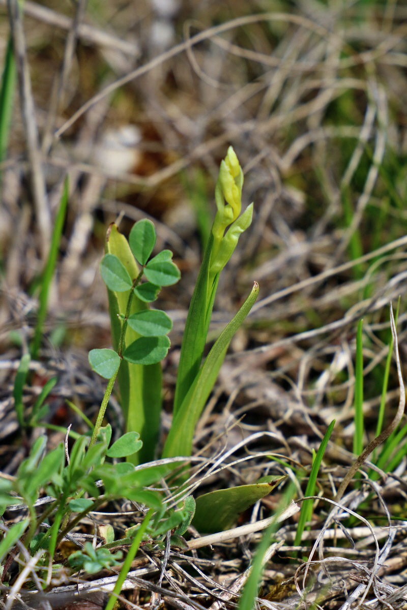 RNA-2017-04-10-00028282p_Bildgr��e �ndern