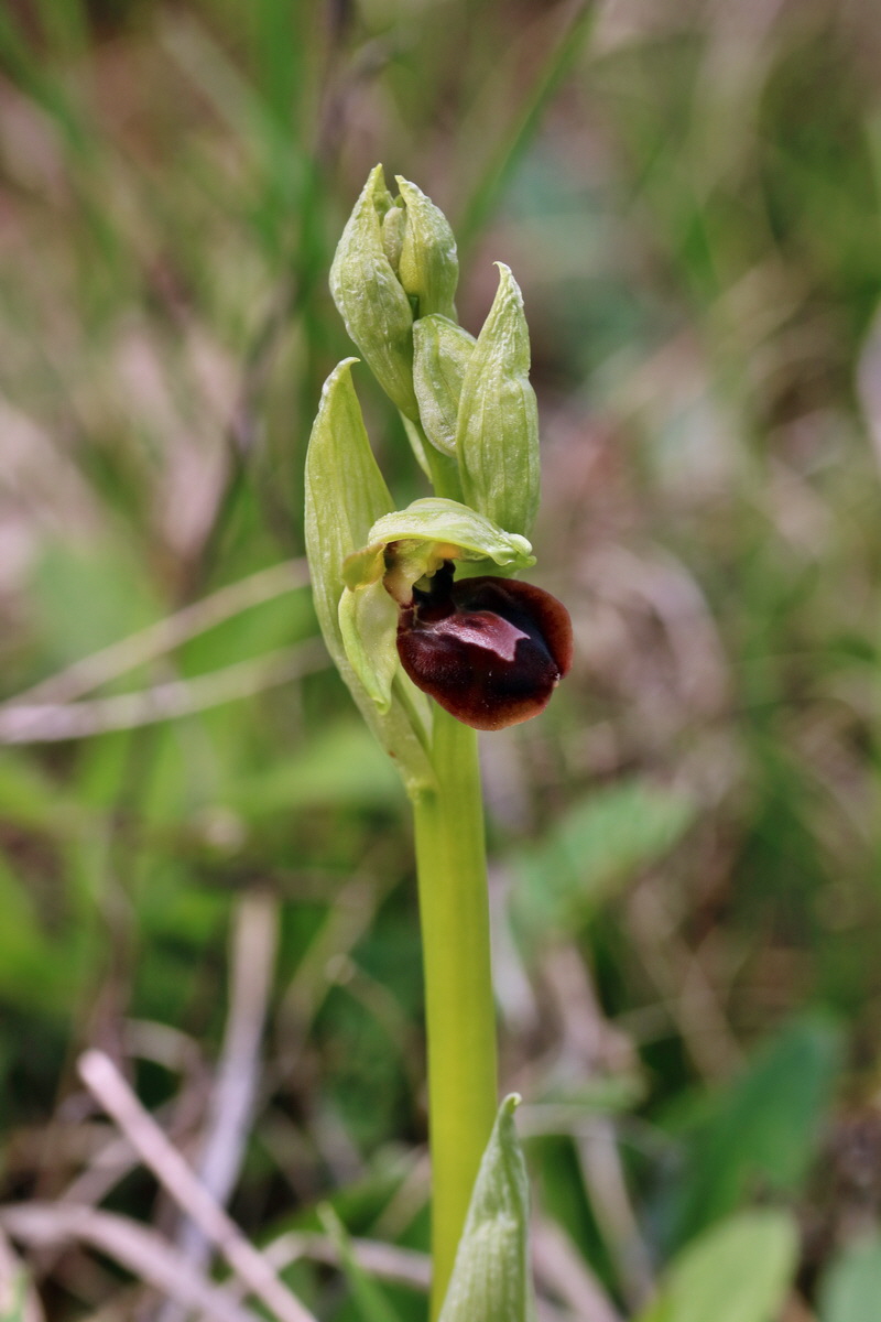 RNA-2017-04-10-00028316p_Bildgr��e �ndern