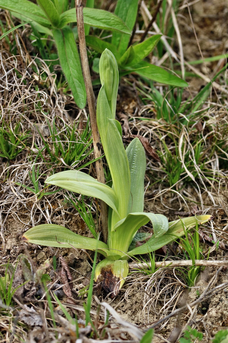 RNA-2017-04-10-00028332p_Bildgr��e �ndern