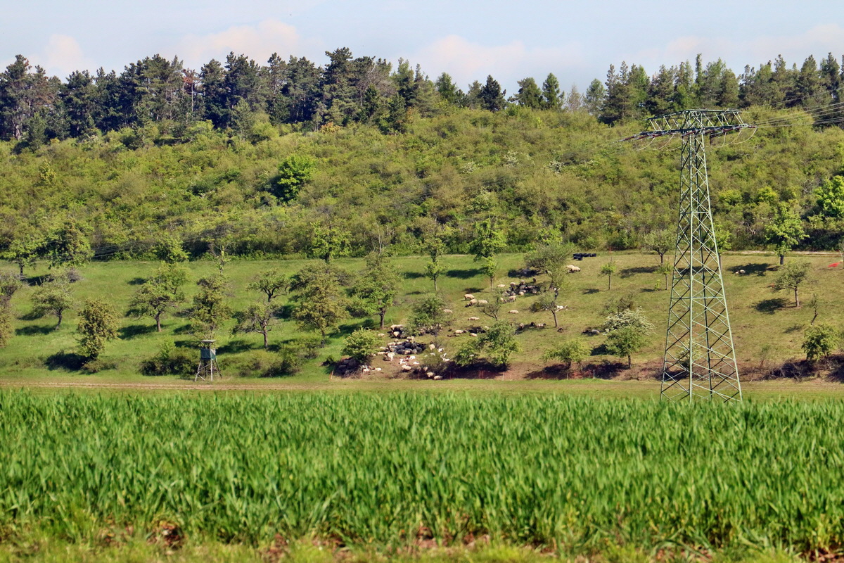 RNA_2017_05_13_3420p_Bildgr��e �ndern