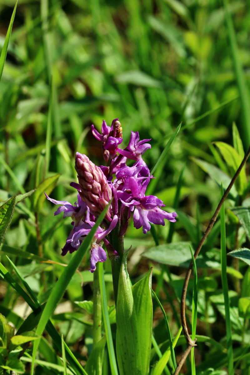 RNA_2017_05_13_3513p_Bildgr��e �ndern