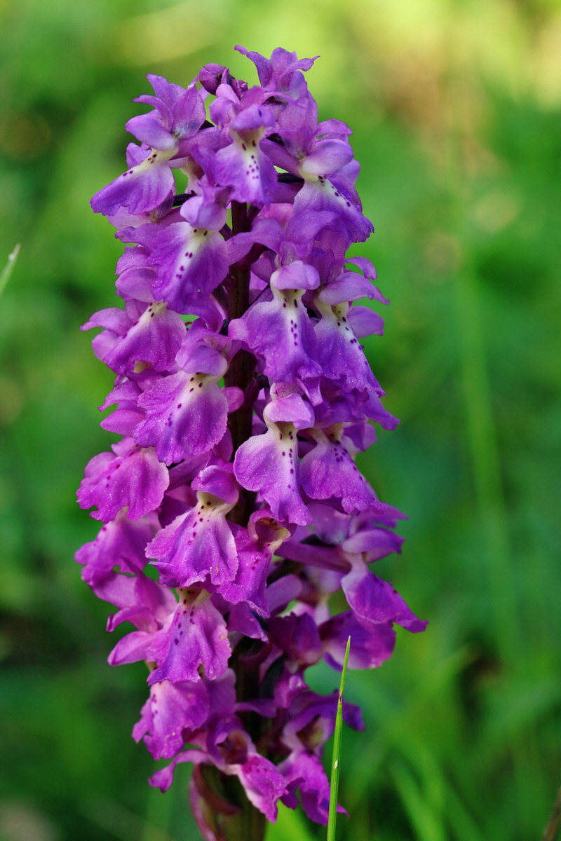 RNA_2017_05_13_3559p_Bildgr��e �ndern