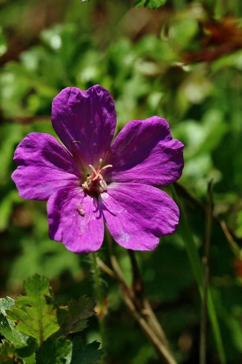 RNA_2017_05_13_3588p_Bildgr��e �ndern