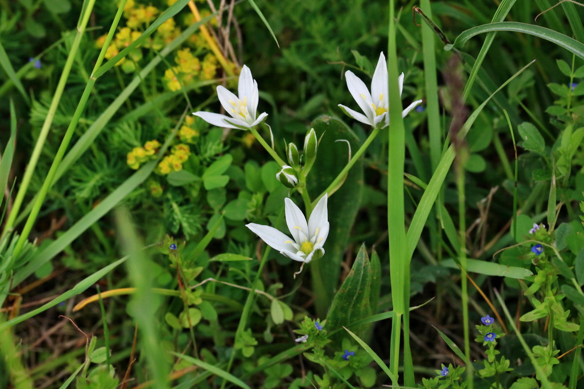 RNA_2017_05_13_3735p_Bildgr��e �ndern