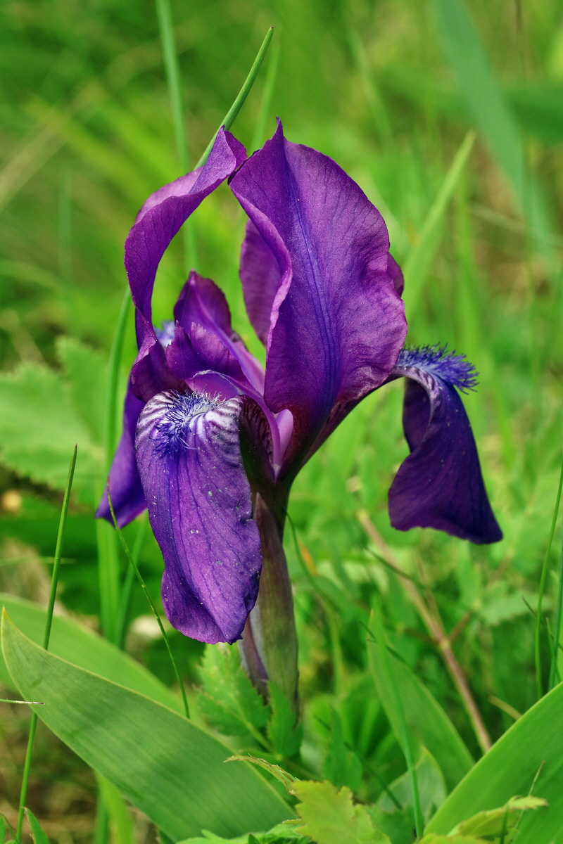 RNA_2017_05_13_3741p_Bildgr��e �ndern