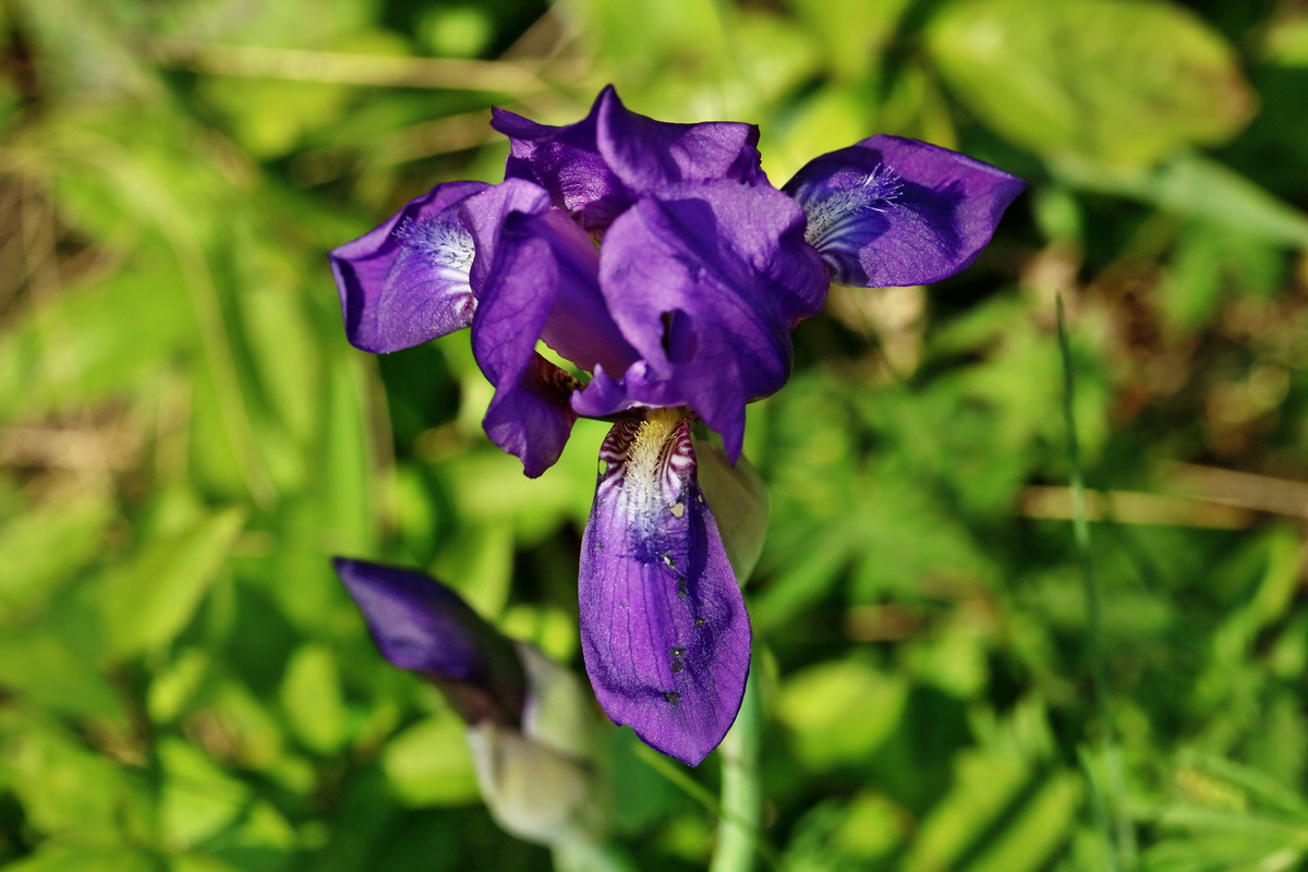 RNA_2017_05_13_3778p_Bildgr��e �ndern