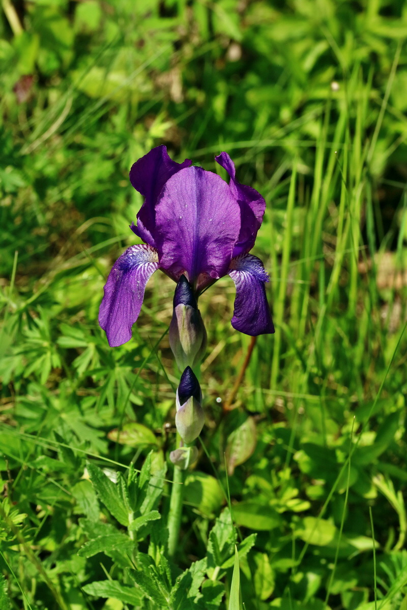 RNA_2017_05_13_3785p_Bildgr��e �ndern