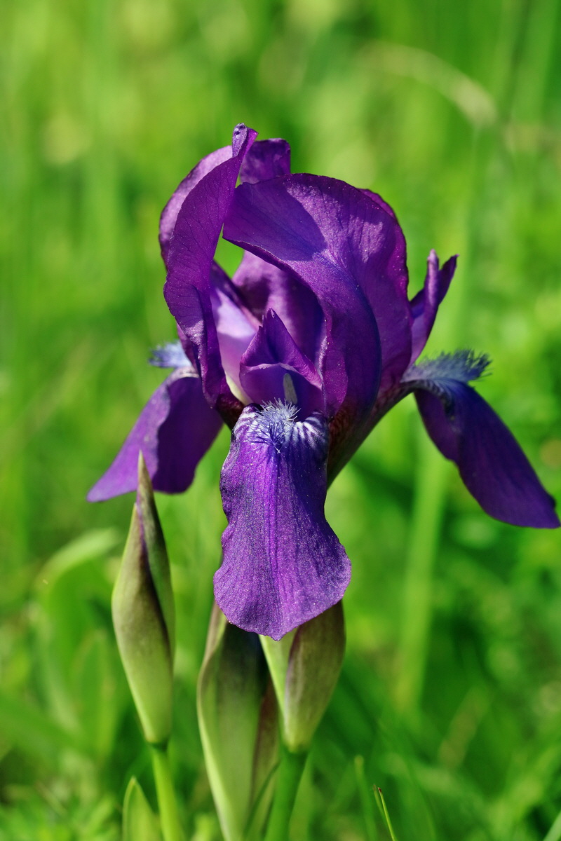 RNA_2017_05_13_3787p_Bildgr��e �ndern