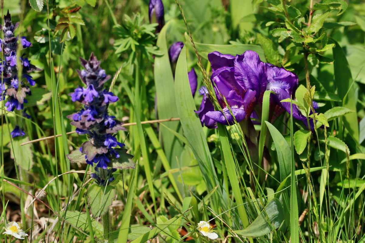 RNA_2017_05_13_3795p_Bildgr��e �ndern