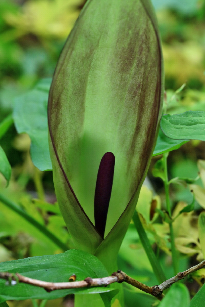 RNA_2017_05_13_3837p_Bildgr��e �ndern