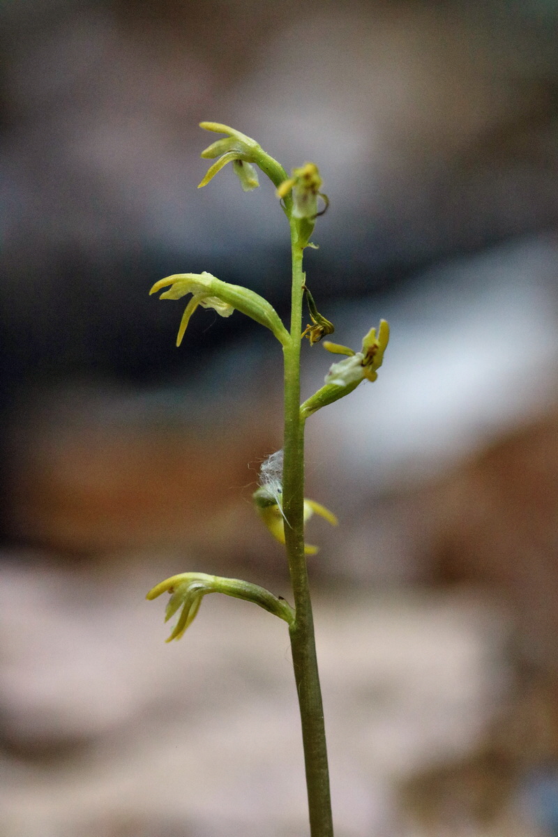 RNA_2017_05_13_3871p_Bildgr��e �ndern