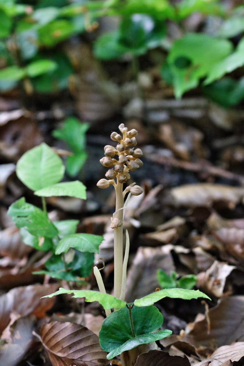 RNA_2017_05_13_3895p_Bildgr��e �ndern