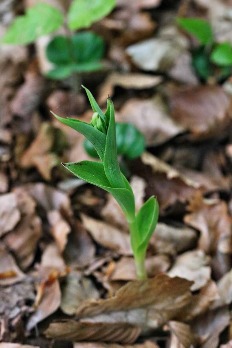 RNA_2017_05_13_3906p_Bildgr��e �ndern