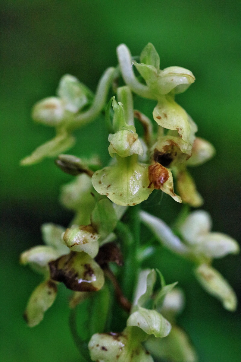 RNA_2017_05_14_3926p_Bildgr��e �ndern