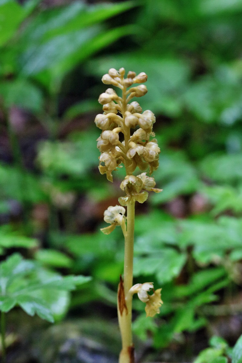 RNA_2017_05_14_3970p_Bildgr��e �ndern