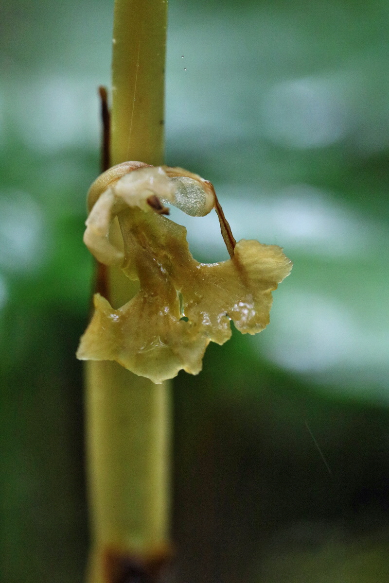 RNA_2017_05_14_3979p_Bildgr��e �ndern