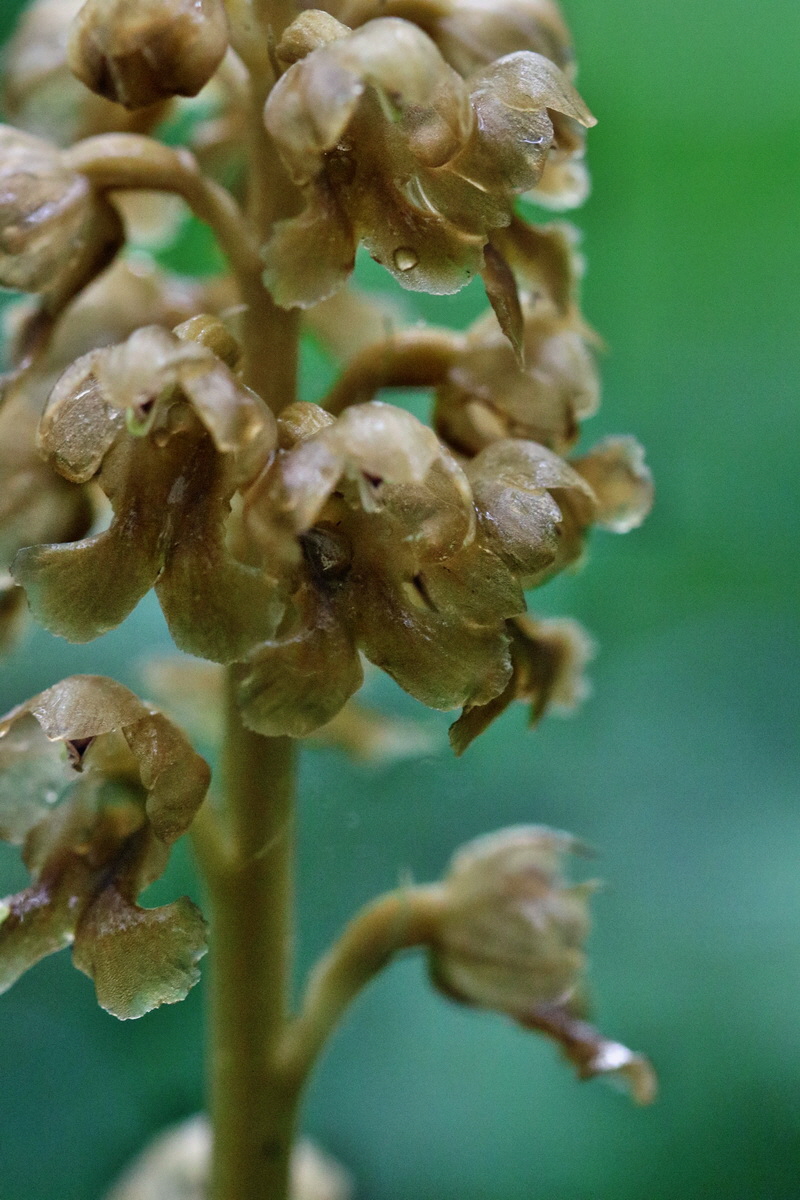 RNA_2017_05_14_3981p_Bildgr��e �ndern