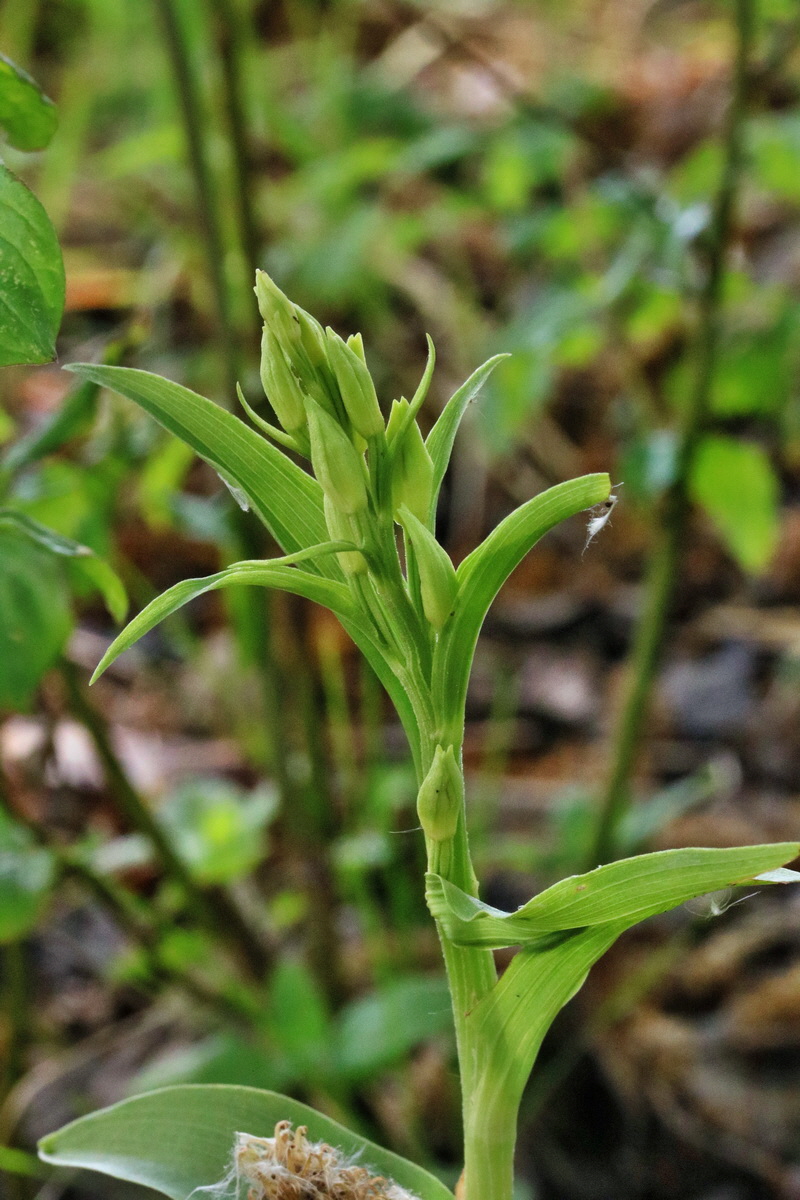 RNA_2017_05_14_4015p_Bildgr��e �ndern