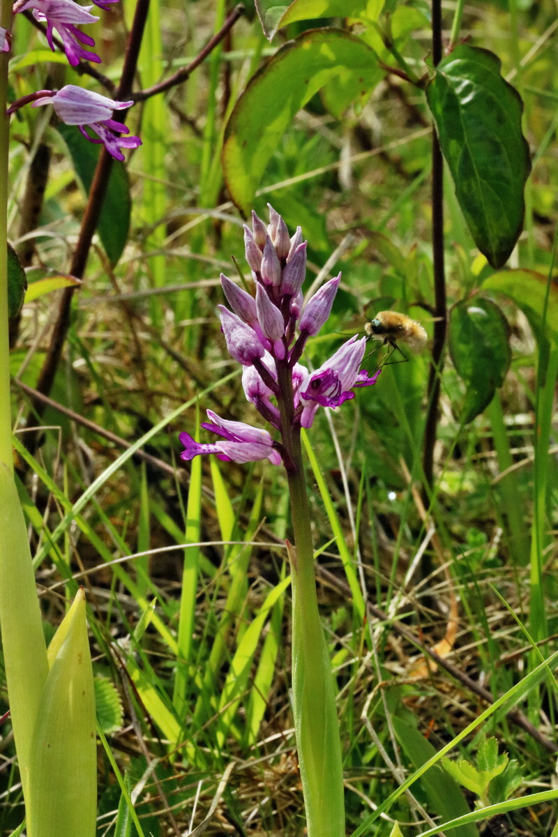 RNA_2017_05_14_4022p_Bildgr��e �ndern