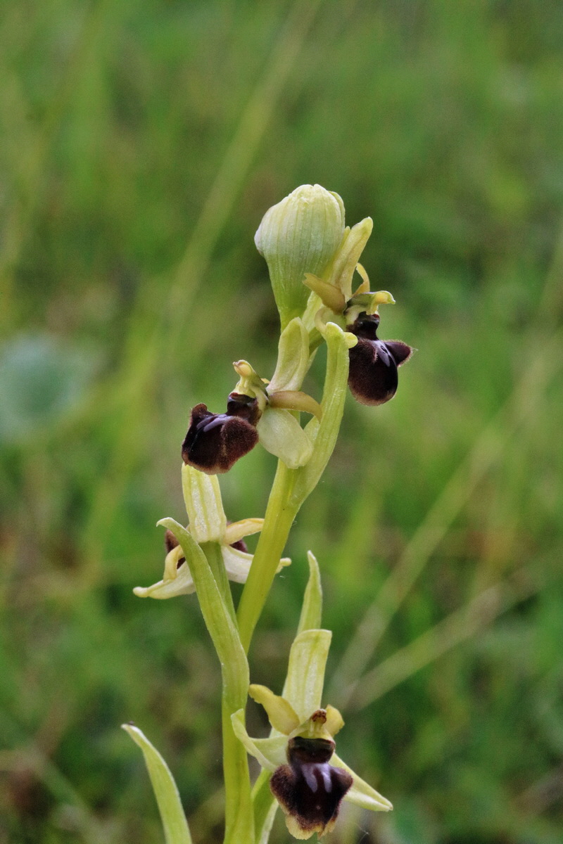 RNA_2017_05_14_4030p_Bildgr��e �ndern