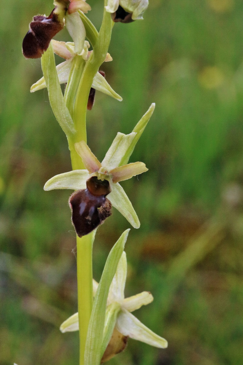 RNA_2017_05_14_4035p_Bildgr��e �ndern