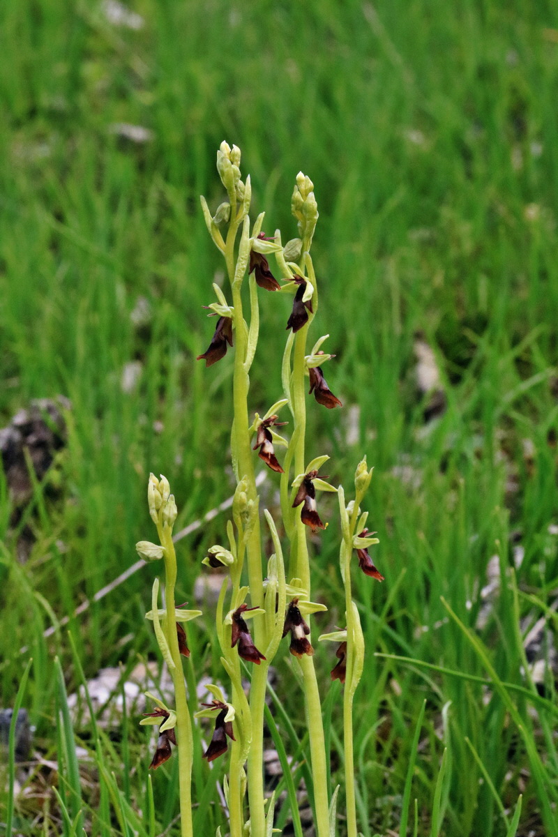 RNA_2017_05_14_4065p_Bildgr��e �ndern