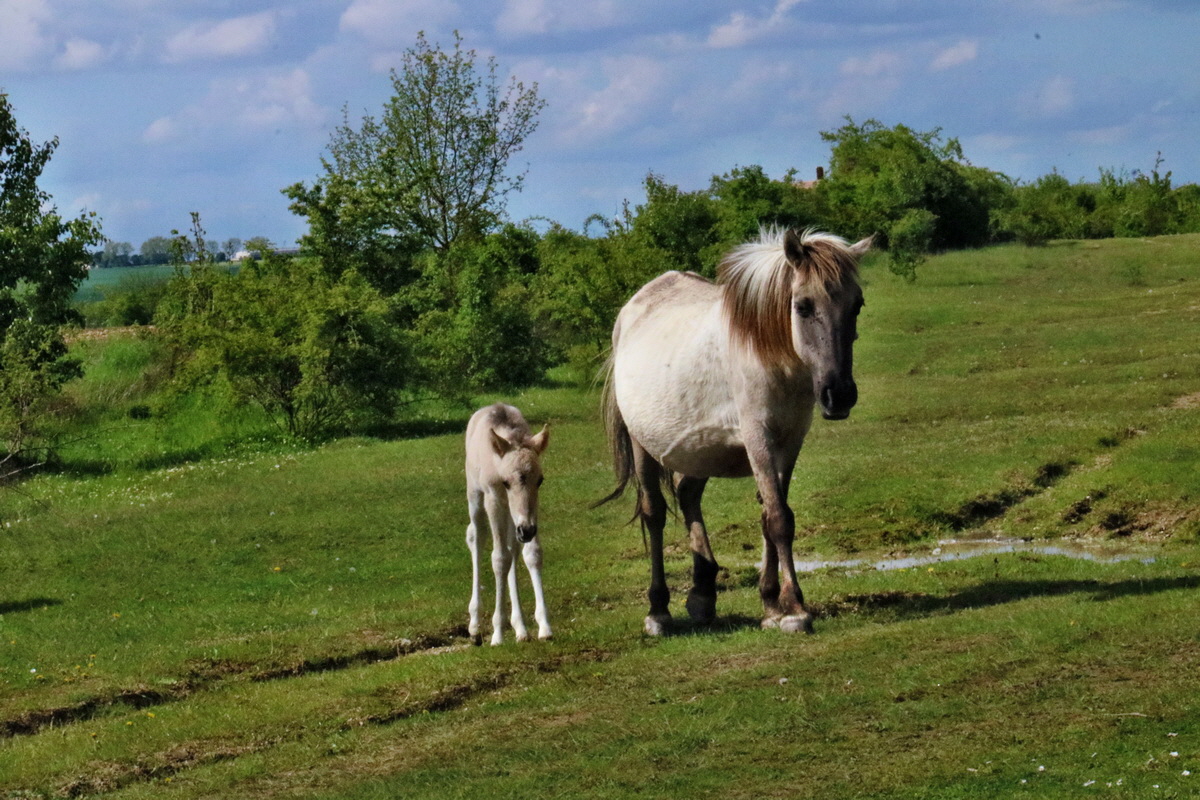 RNA_2017_05_14_4192p_Bildgr��e �ndern