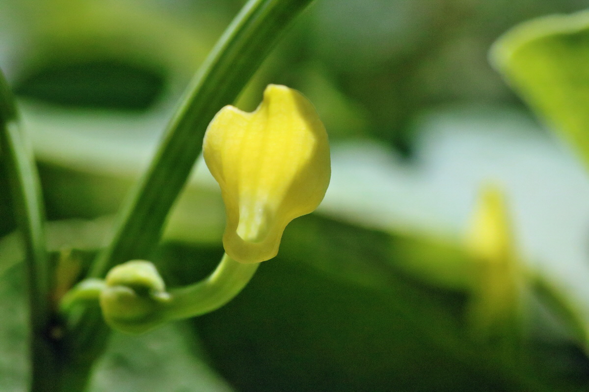 RNA_2017_05_17_4275p_Bildgr��e �ndern