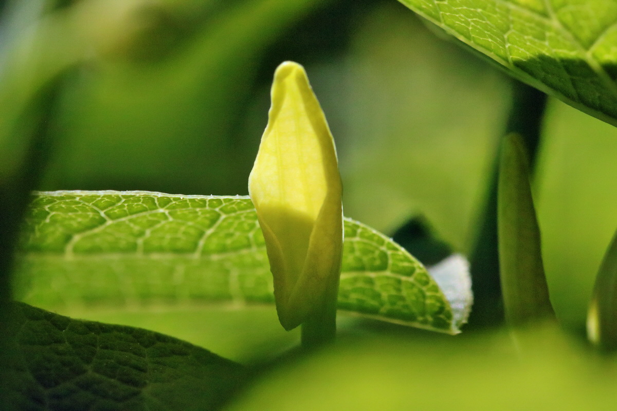 RNA_2017_05_17_4282p_Bildgr��e �ndern