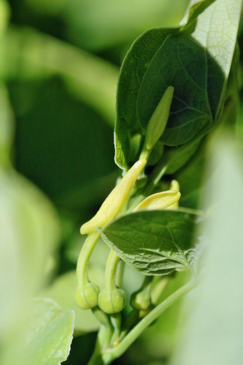 RNA_2017_05_17_4289p_Bildgr��e �ndern