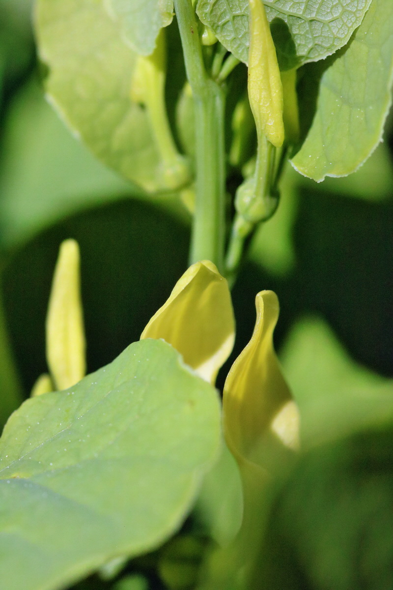 RNA_2017_05_17_4290p_Bildgr��e �ndern