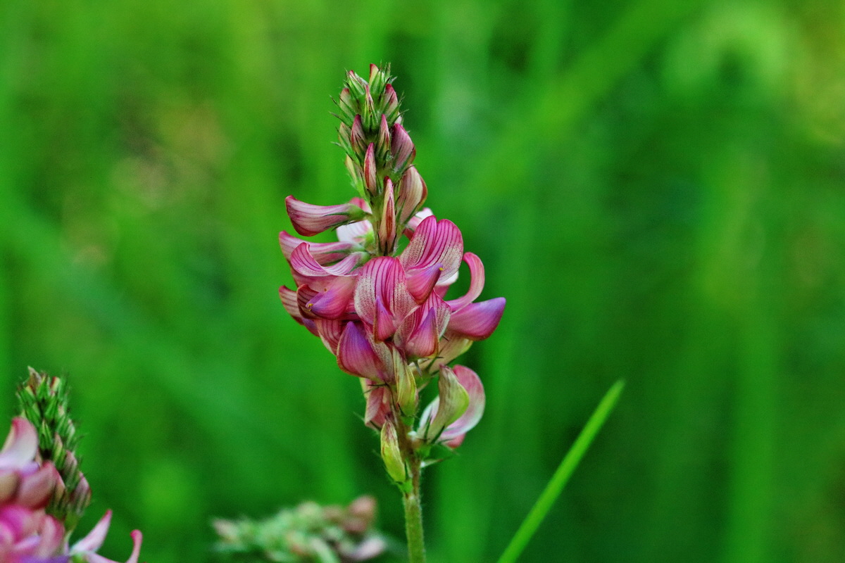 RNA_2017_05_17_4298p_Bildgr��e �ndern