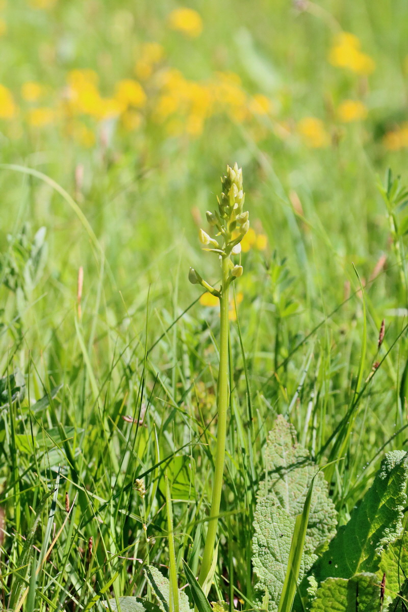 RNA_2017_05_17_4321p_Bildgr��e �ndern