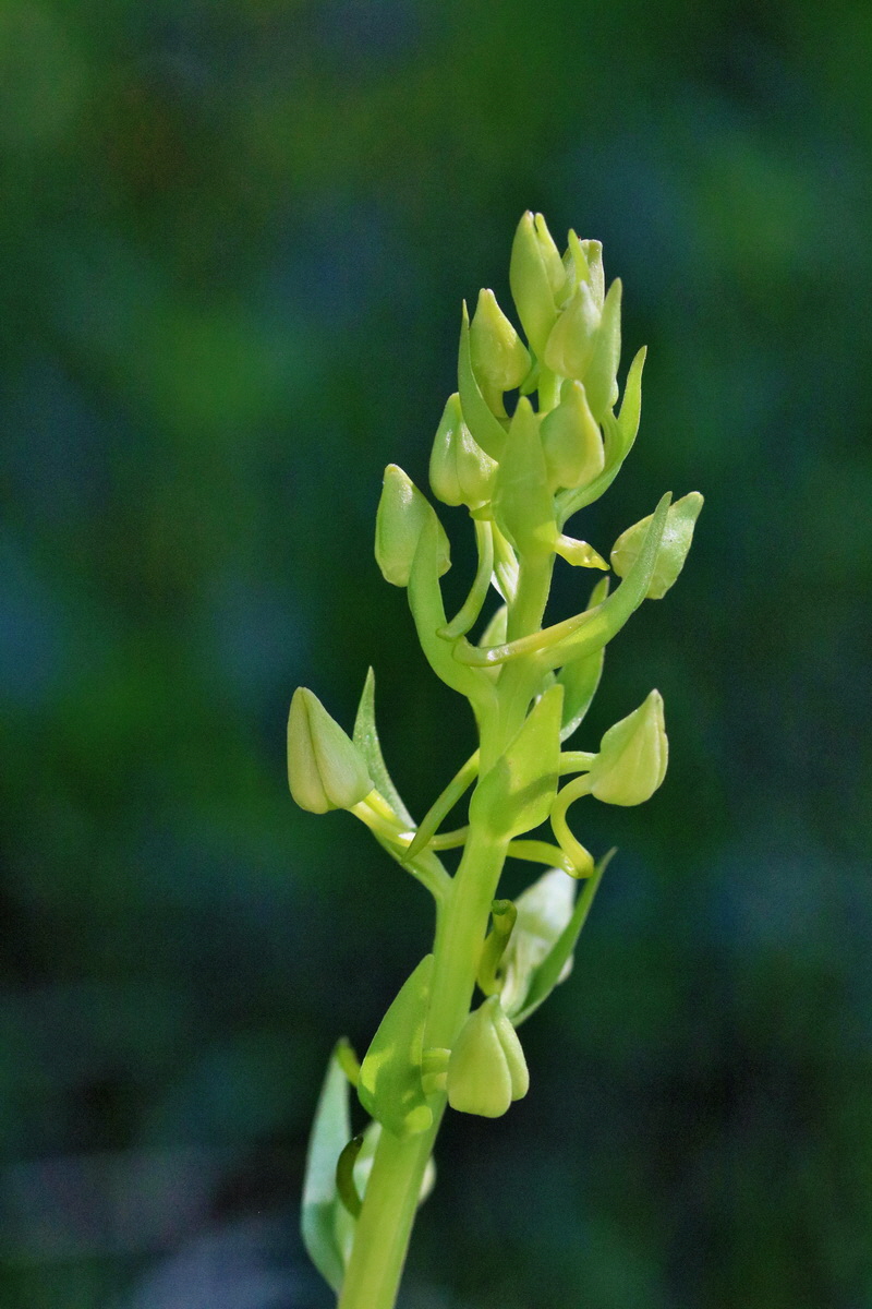 RNA_2017_05_17_4327p_Bildgr��e �ndern