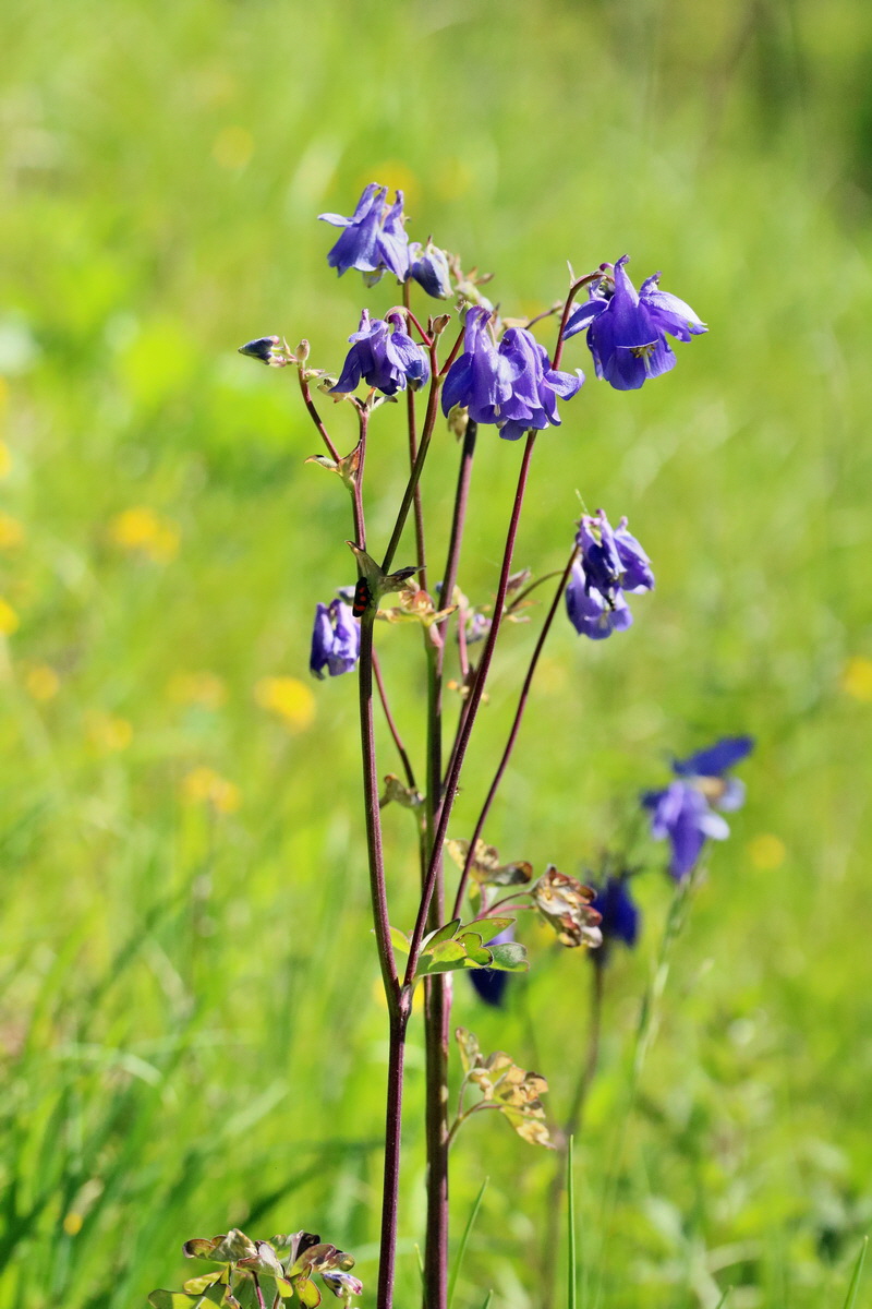 RNA_2017_05_17_4335p_Bildgr��e �ndern