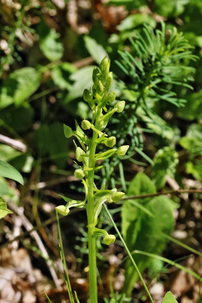 RNA_2017_05_17_4365p_Bildgr��e �ndern