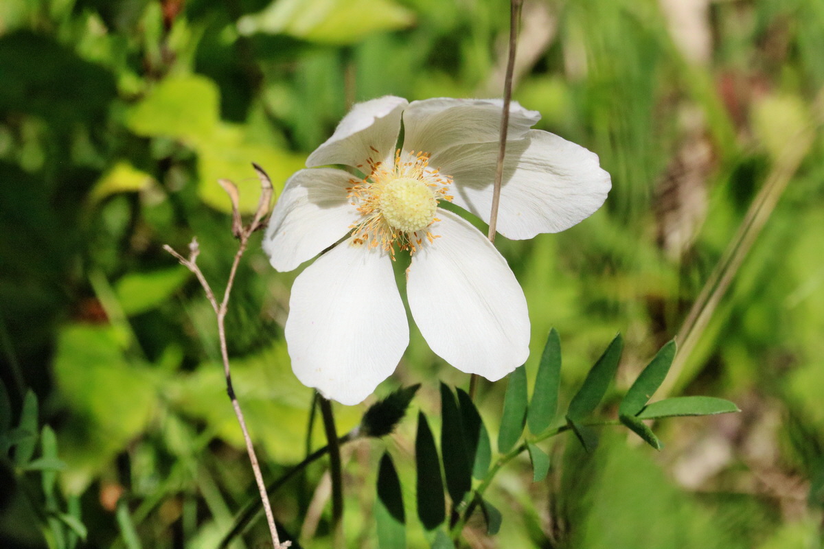 RNA_2017_05_17_4387p_Bildgr��e �ndern