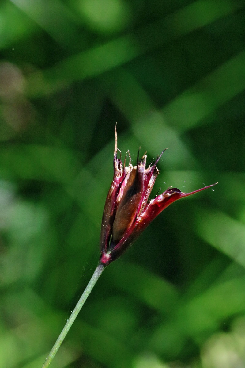 RNA_2017_05_17_4395p_Bildgr��e �ndern