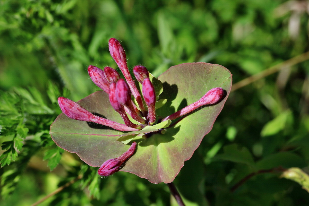 RNA_2017_05_17_4410p_Bildgr��e �ndern