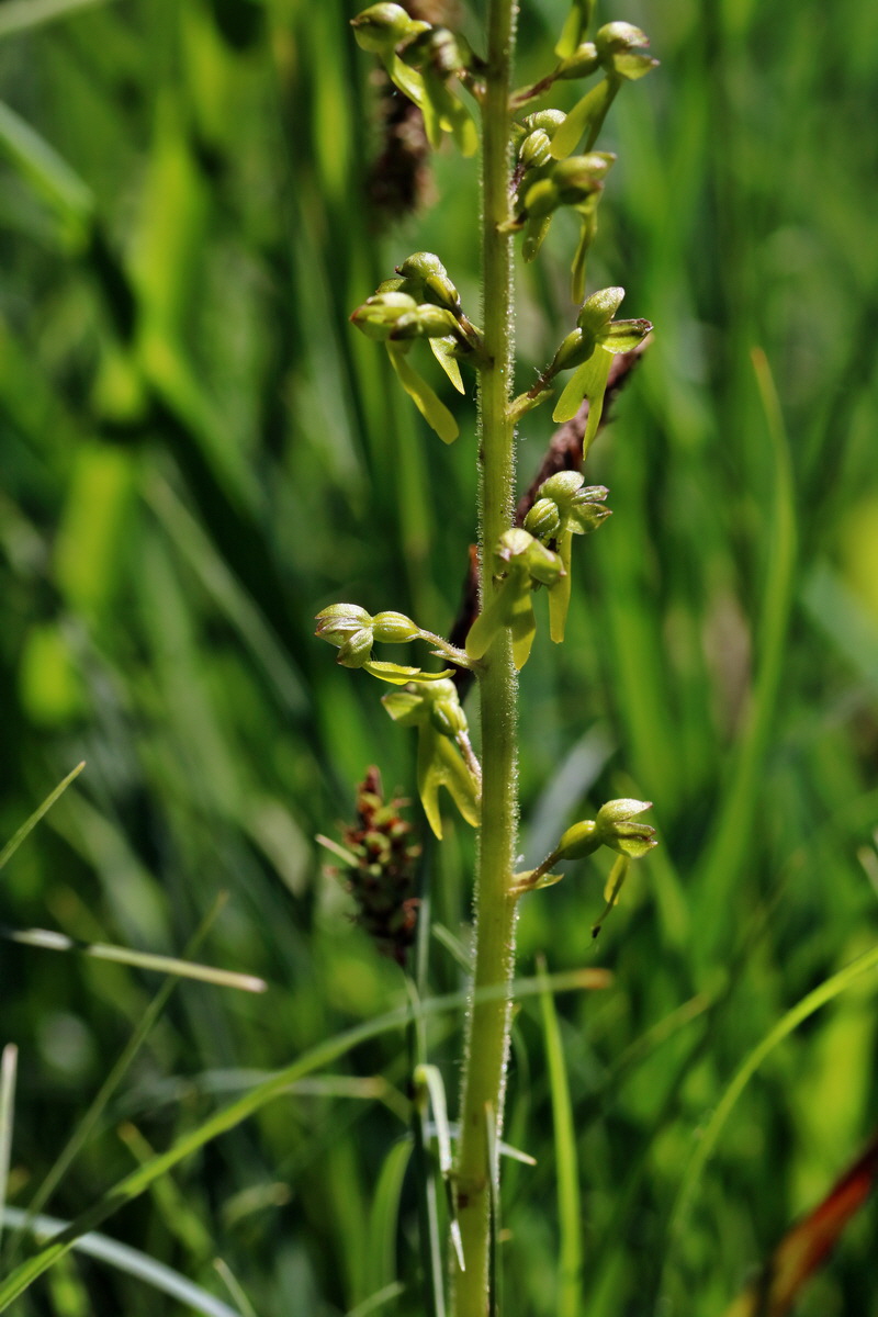 RNA_2017_05_17_4445p_Bildgr��e �ndern