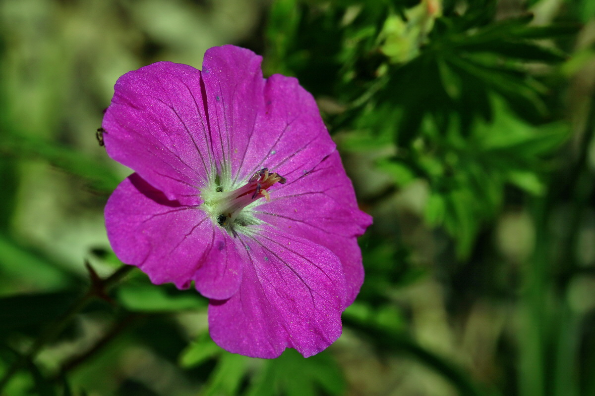 RNA_2017_05_17_4534p_Bildgr��e �ndern