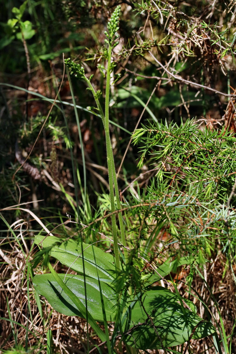 RNA_2017_05_17_4578p_Bildgr��e �ndern