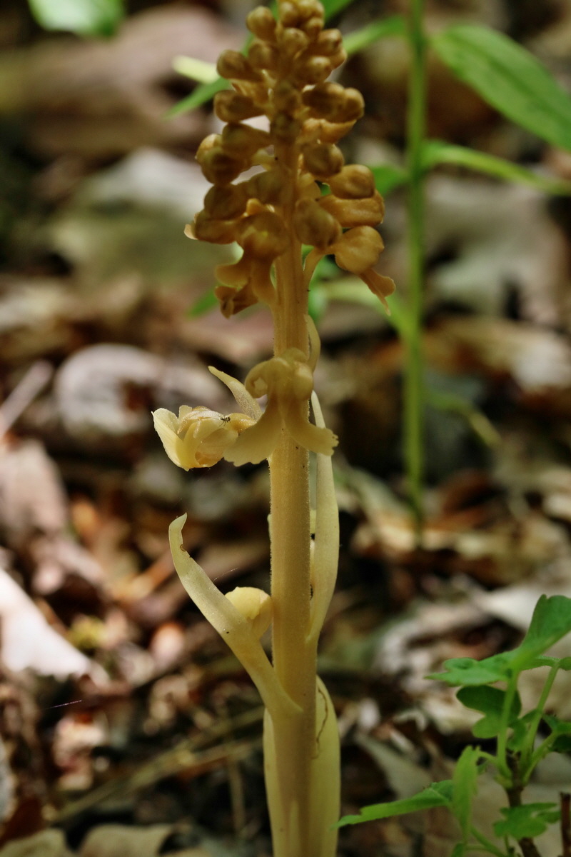 RNA_2017_05_17_4608p_Bildgr��e �ndern