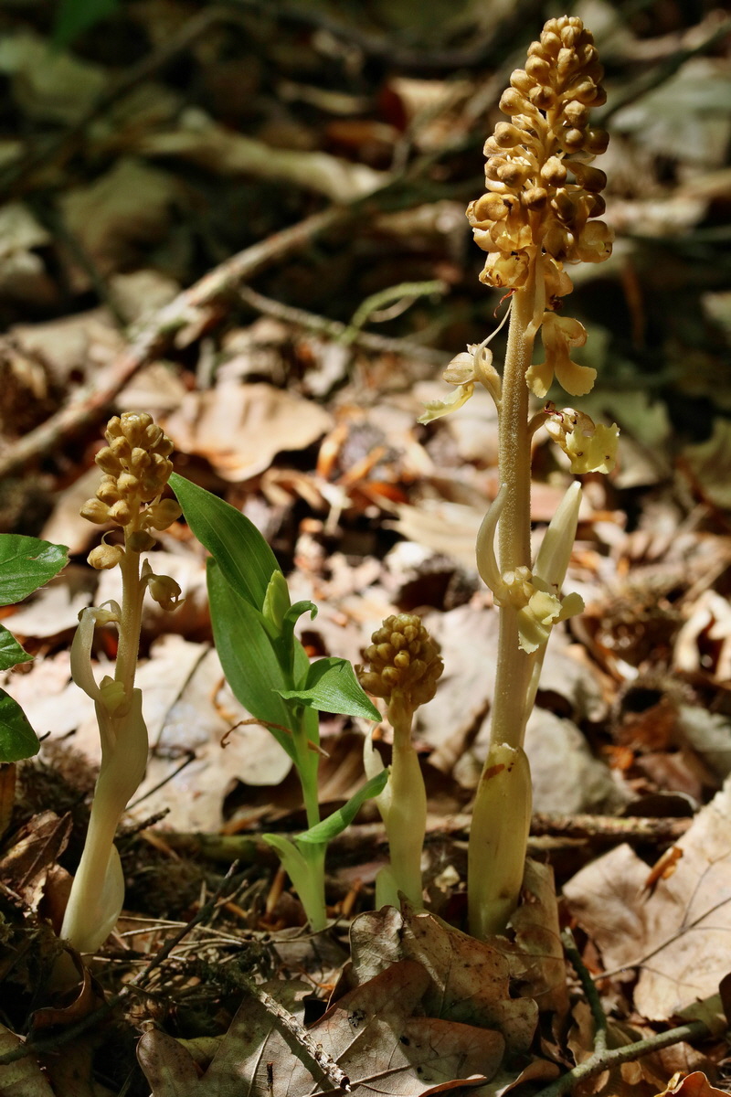 RNA_2017_05_17_4621p_Bildgr��e �ndern