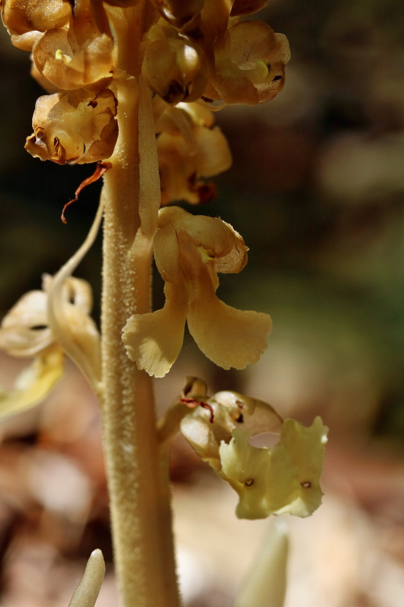 RNA_2017_05_17_4626p_Bildgr��e �ndern